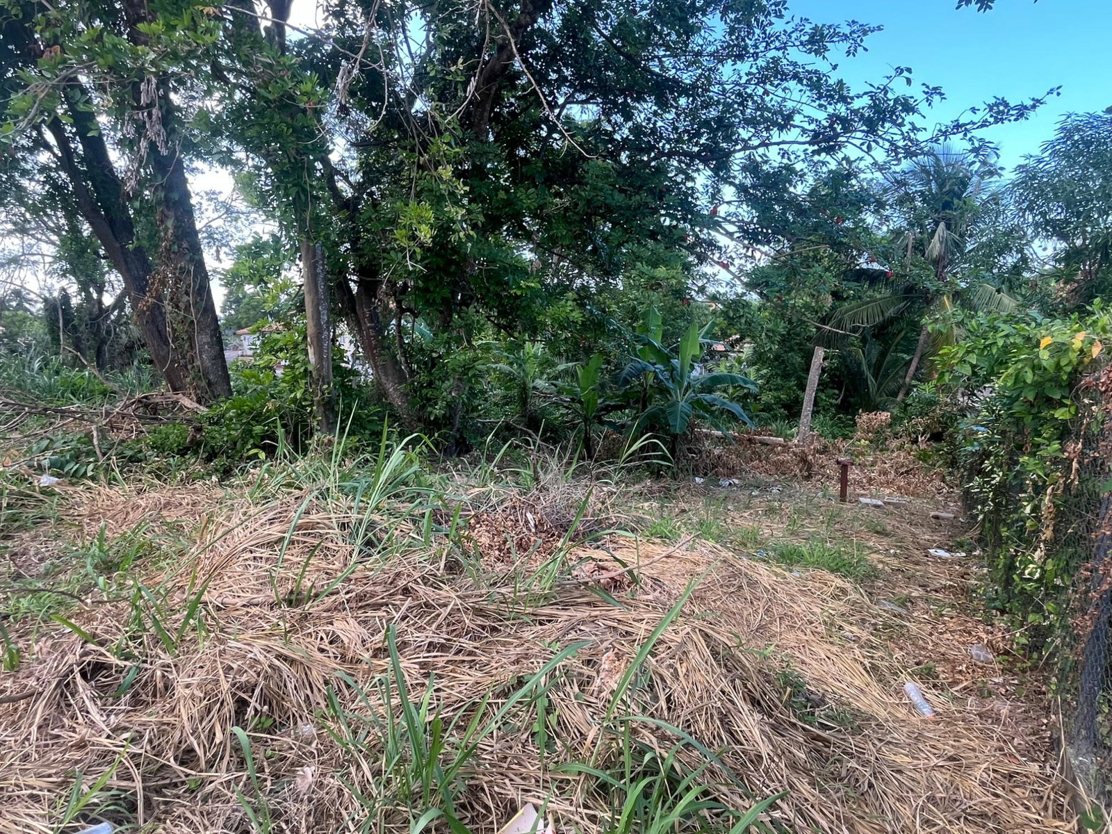 Second image of 19- Ocho Rios in Ocho Rios, St. Ann, Jamaica - property is For Sale