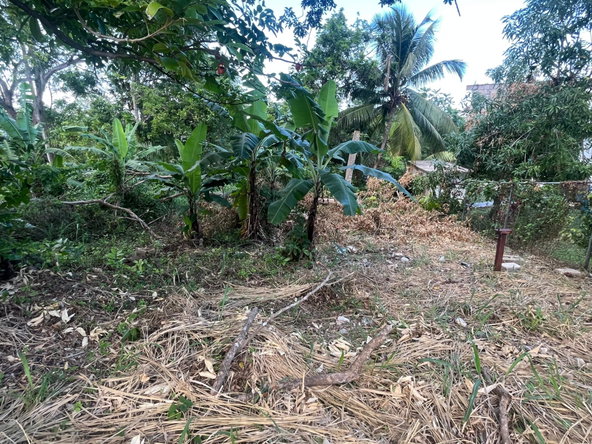 Fifth image of 19- Ocho Rios in Ocho Rios, St. Ann, Jamaica - property is For Sale