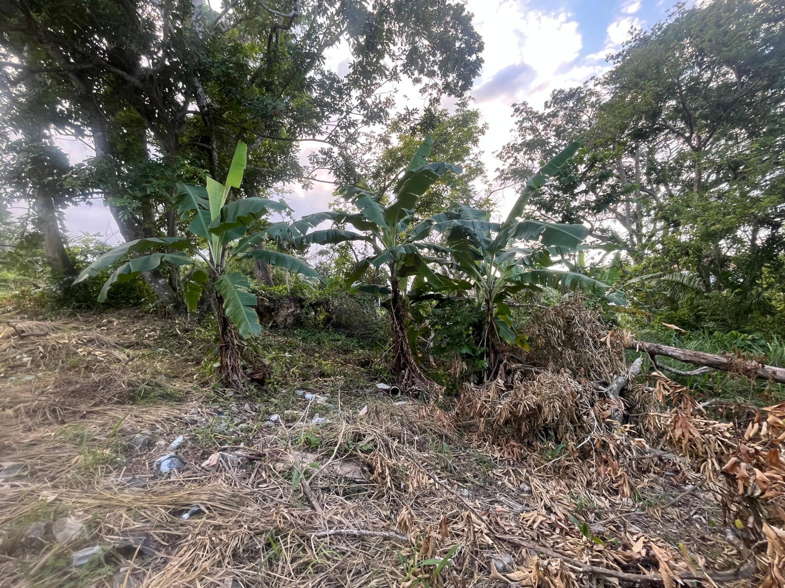 Sixth image of 19- Ocho Rios in Ocho Rios, St. Ann, Jamaica - property is For Sale