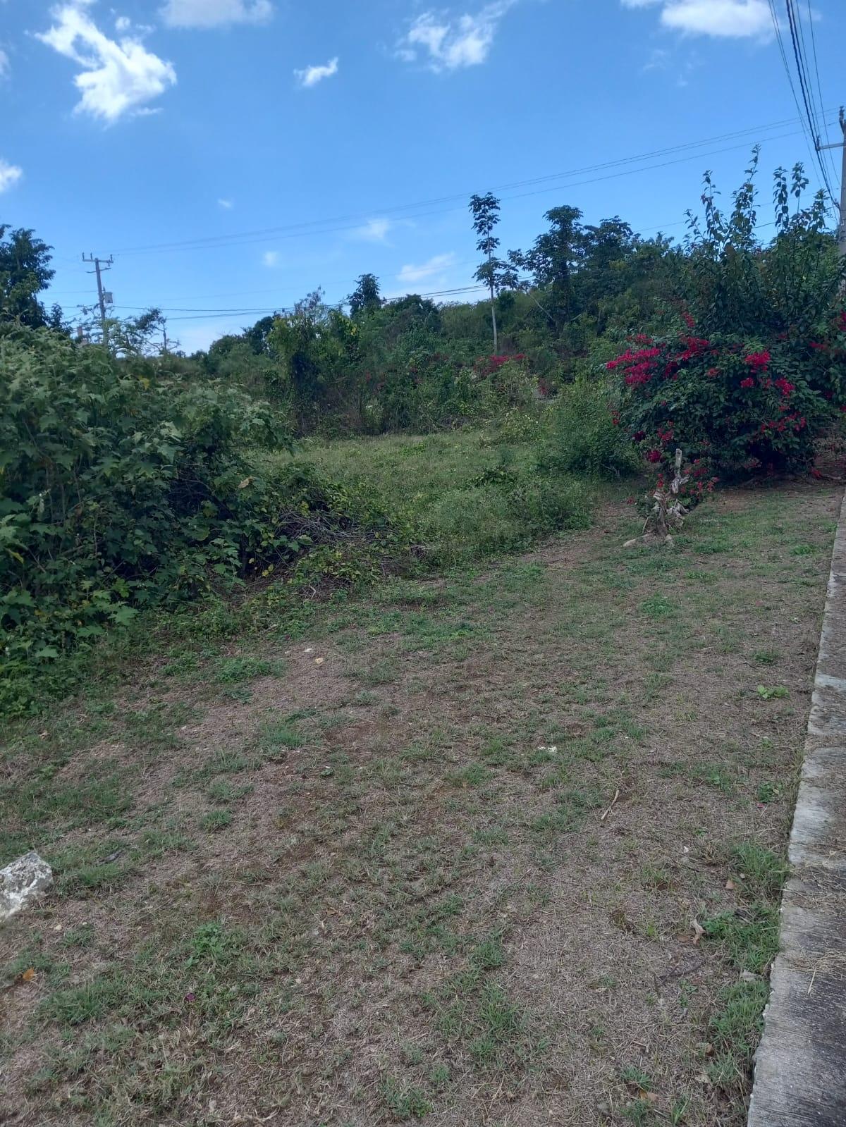 Thirteenth image of 73 Bougainvillea Drive, Negr in Negril, Westmoreland, Jamaica - property is For Sale