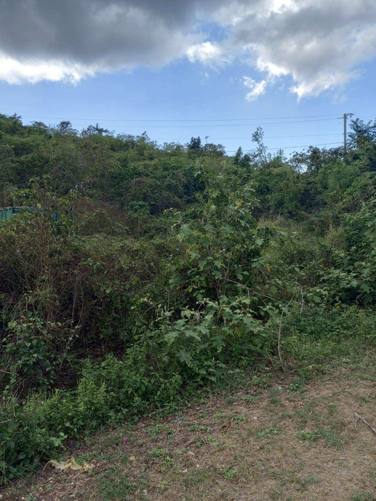 Second image of 73 Bougainvillea Drive, Negr in Negril, Westmoreland, Jamaica - property is For Sale