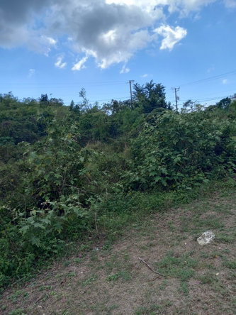 Fourth image of 73 Bougainvillea Drive, Negr in Negril, Westmoreland, Jamaica - property is For Sale