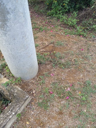 Ninth image of 73 Bougainvillea Drive, Negr in Negril, Westmoreland, Jamaica - property is For Sale
