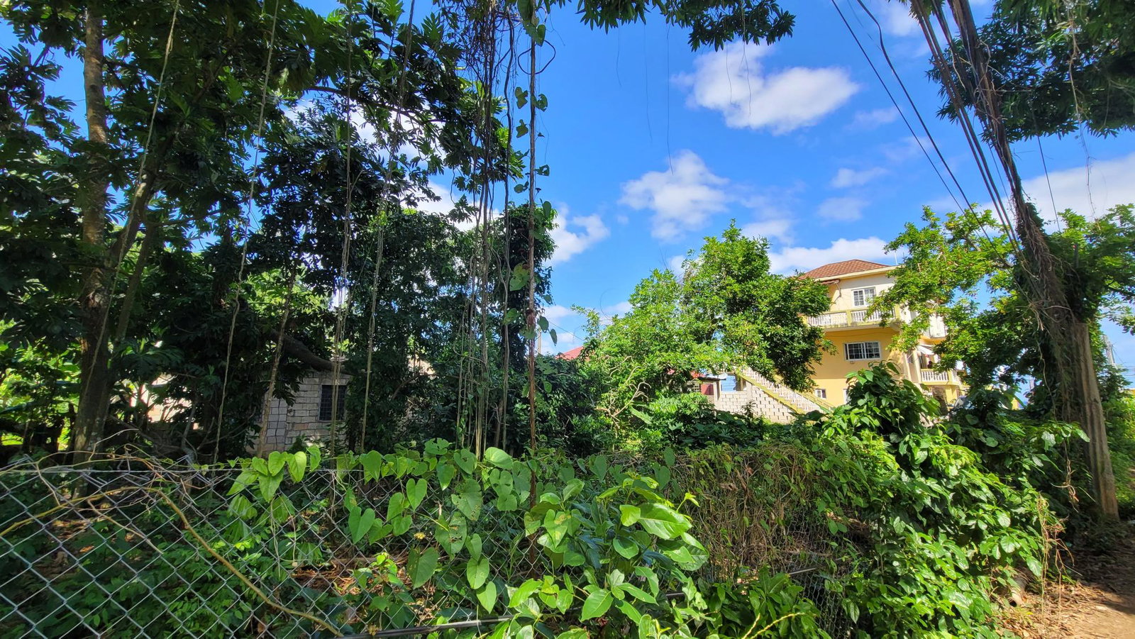 Twenty-Third image of Salt Gut in Retirement, St. Mary, Jamaica - property is For Sale