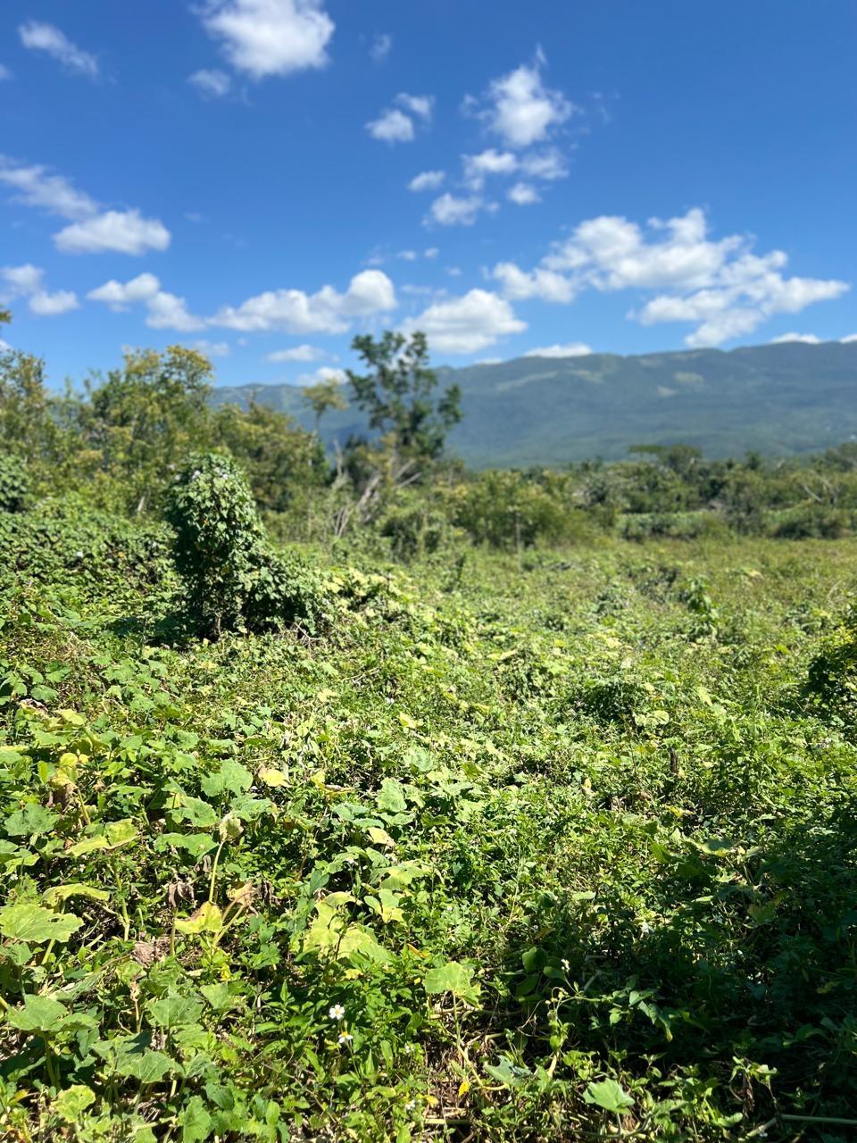 Tenth image of 252 Goshen, st Elizabeth in Goshen, St. Elizabeth, Jamaica - property is For Sale
