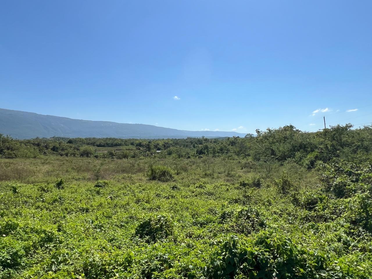Twelfth image of 252 Goshen, st Elizabeth in Goshen, St. Elizabeth, Jamaica - property is For Sale