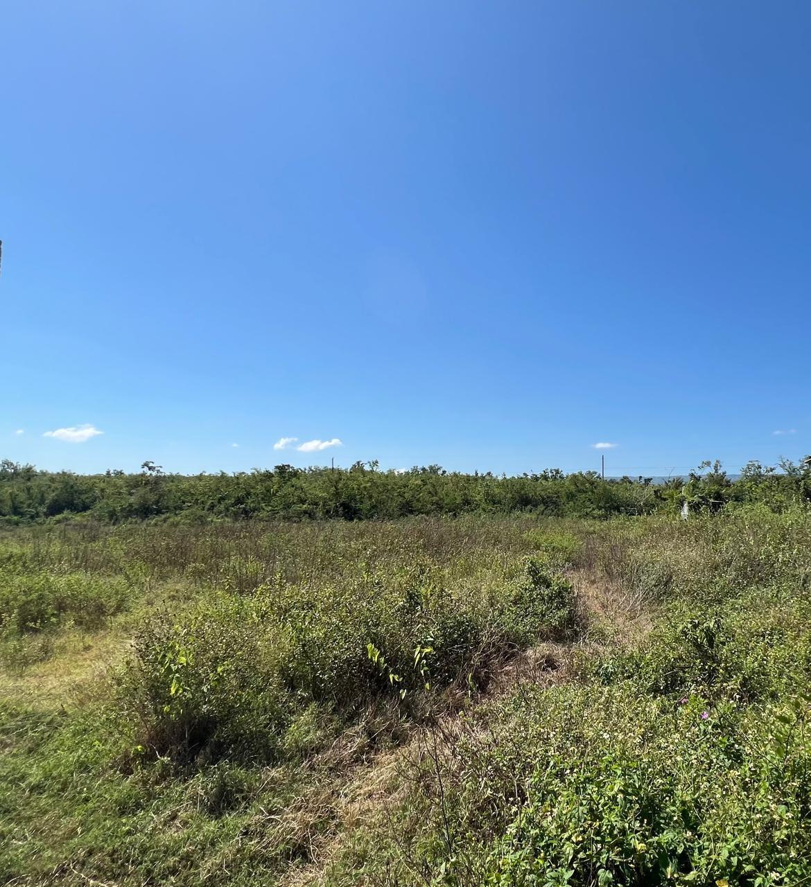 Thirteenth image of 252 Goshen, st Elizabeth in Goshen, St. Elizabeth, Jamaica - property is For Sale