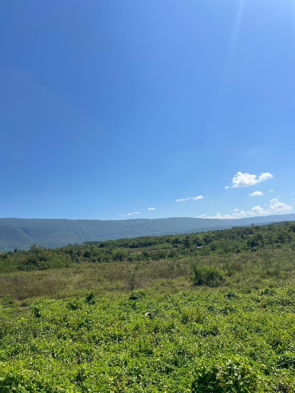 Fourteenth image of 252 Goshen, st Elizabeth in Goshen, St. Elizabeth, Jamaica - property is For Sale