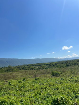 Fourteenth image of 252 Goshen, st Elizabeth in Goshen, St. Elizabeth, Jamaica - property is For Sale