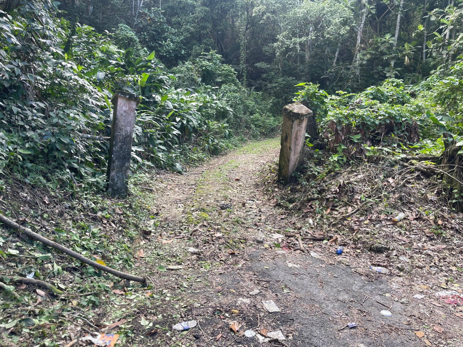 First image of 51 Lime Hall Content in Lime Hall, St. Ann, Jamaica - property is For Sale