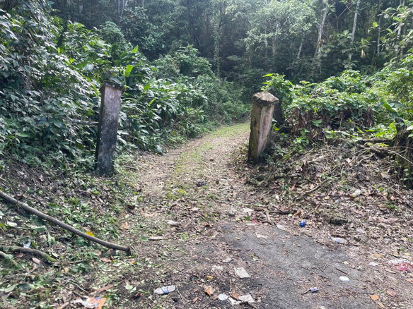 First image of 51 Lime Hall Content in Lime Hall, St. Ann, Jamaica - property is For Sale