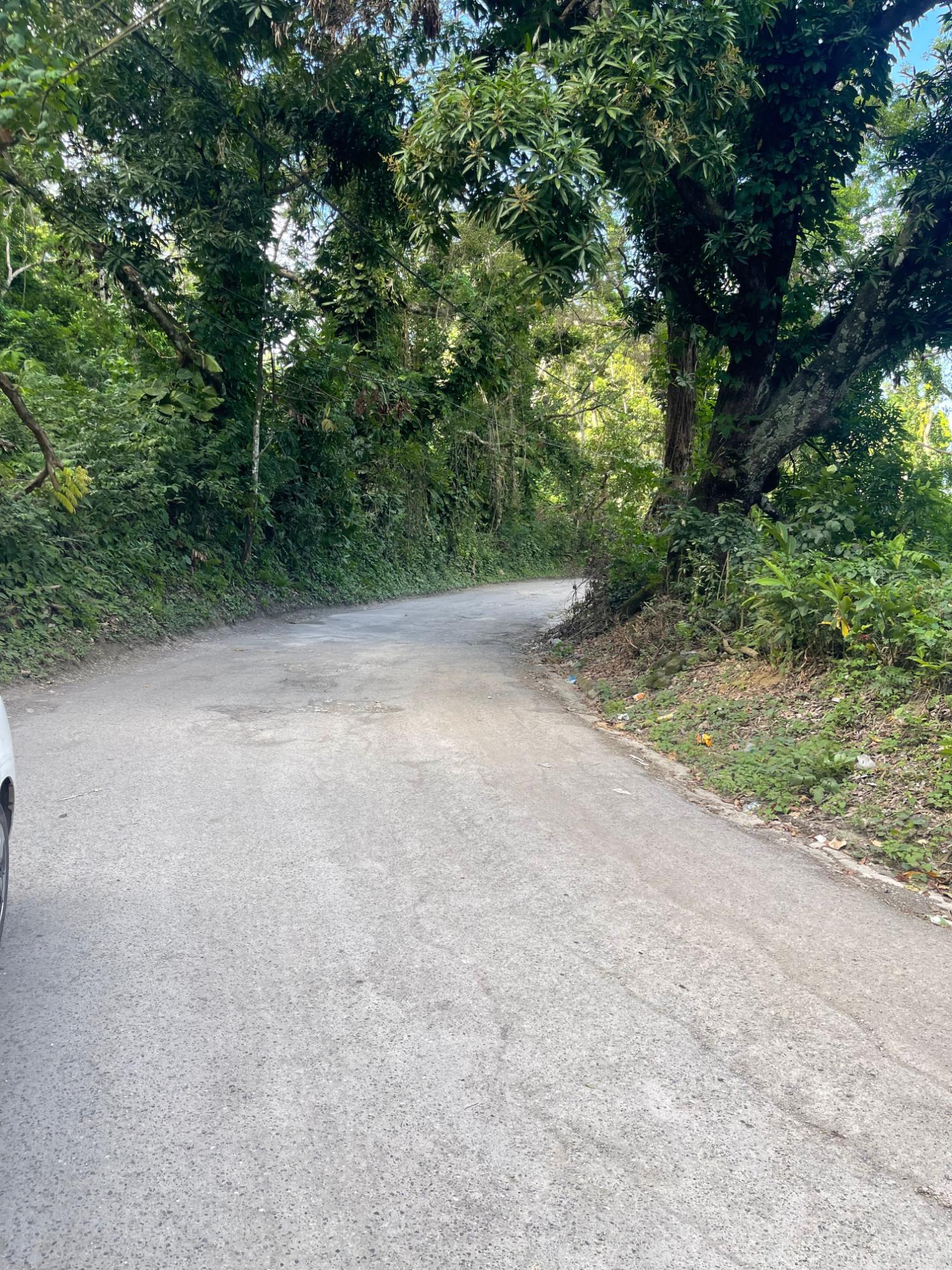 Second image of 51 Lime Hall Content in Lime Hall, St. Ann, Jamaica - property is For Sale