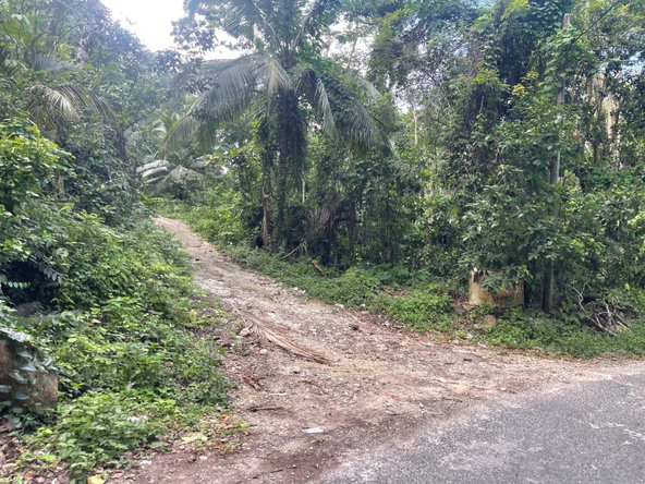 Third image of 51 Lime Hall Content in Lime Hall, St. Ann, Jamaica - property is For Sale