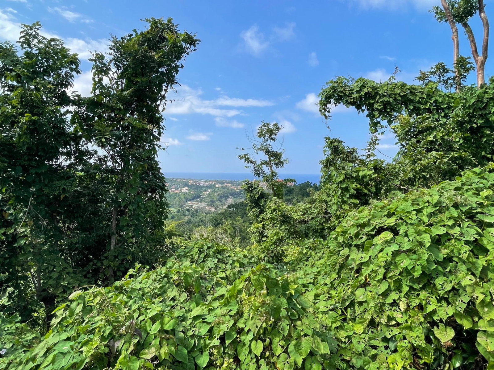 First image of 25 Forest Glade /ocean Ridge in Rio Nuevo, St. Mary, Jamaica - property is For Sale