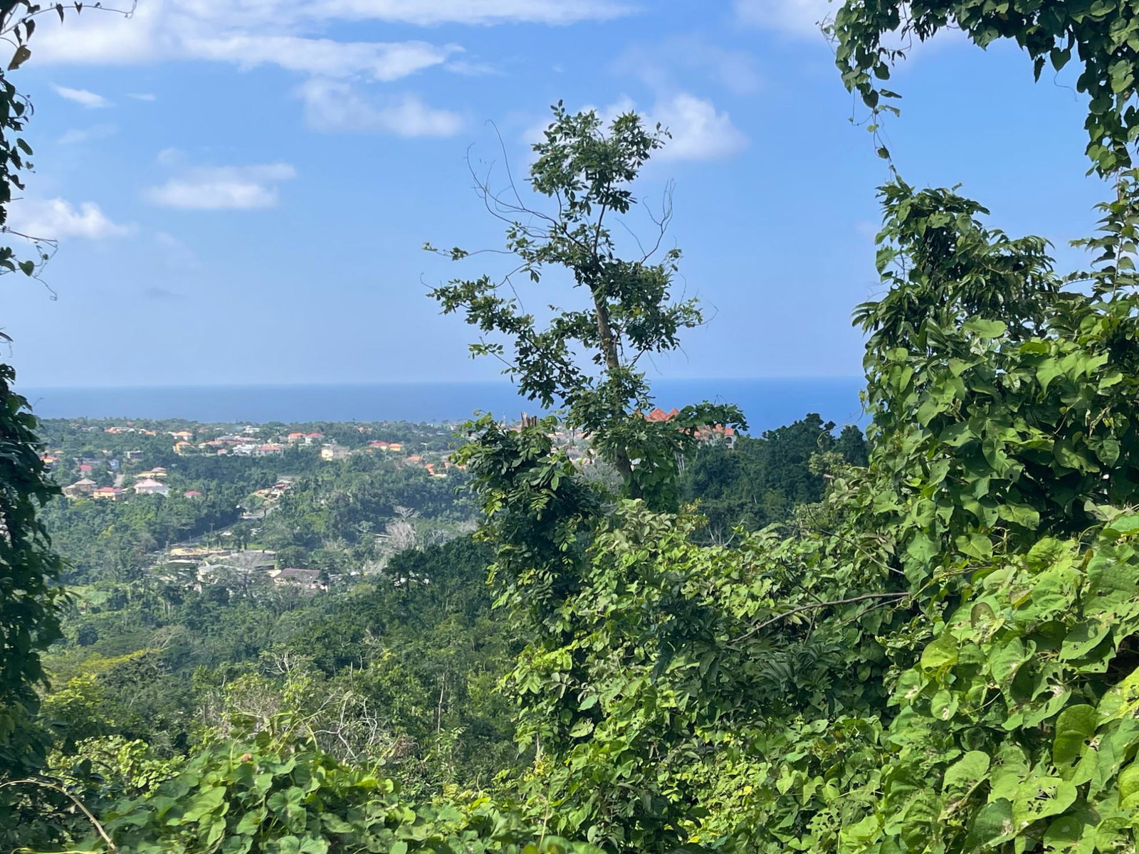 Second image of 25 Forest Glade /ocean Ridge in Rio Nuevo, St. Mary, Jamaica - property is For Sale