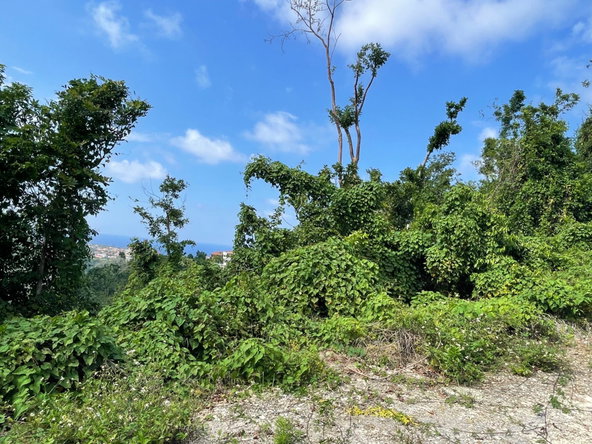 Third image of 25 Forest Glade /ocean Ridge in Rio Nuevo, St. Mary, Jamaica - property is For Sale