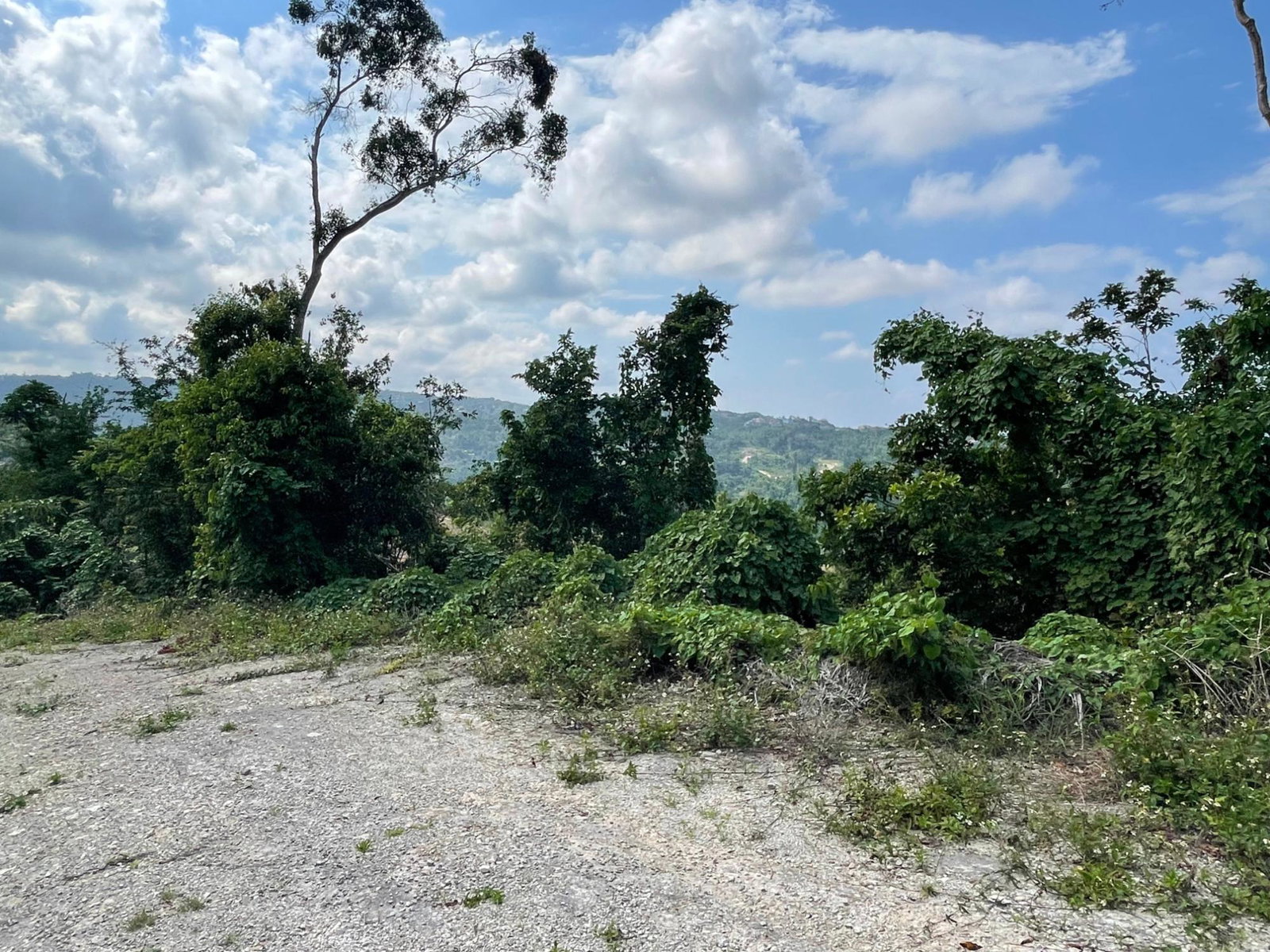 Fourth image of 25 Forest Glade /ocean Ridge in Rio Nuevo, St. Mary, Jamaica - property is For Sale