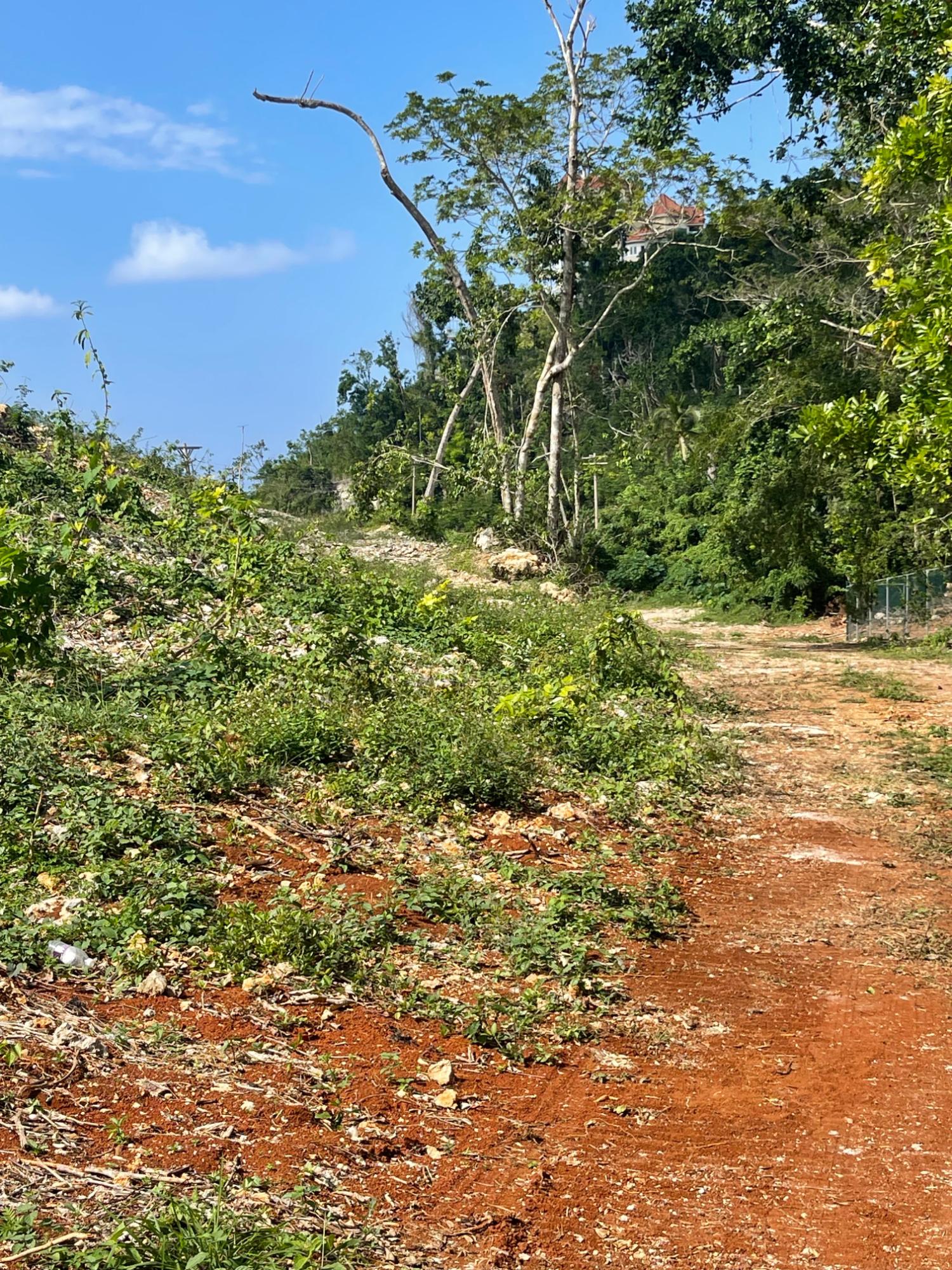 Fifth image of 25 Forest Glade /ocean Ridge in Rio Nuevo, St. Mary, Jamaica - property is For Sale
