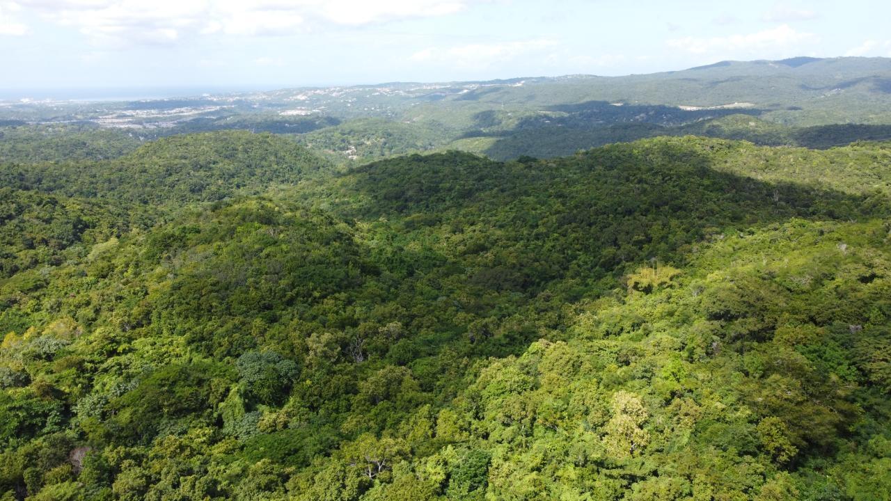 First image of Glendale Heights, Sign in Montego Bay, St. James, Jamaica - property is For Sale