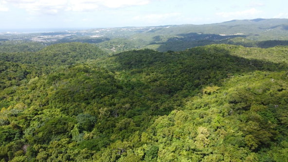 First image of Glendale Heights, Sign in Montego Bay, St. James, Jamaica - property is For Sale