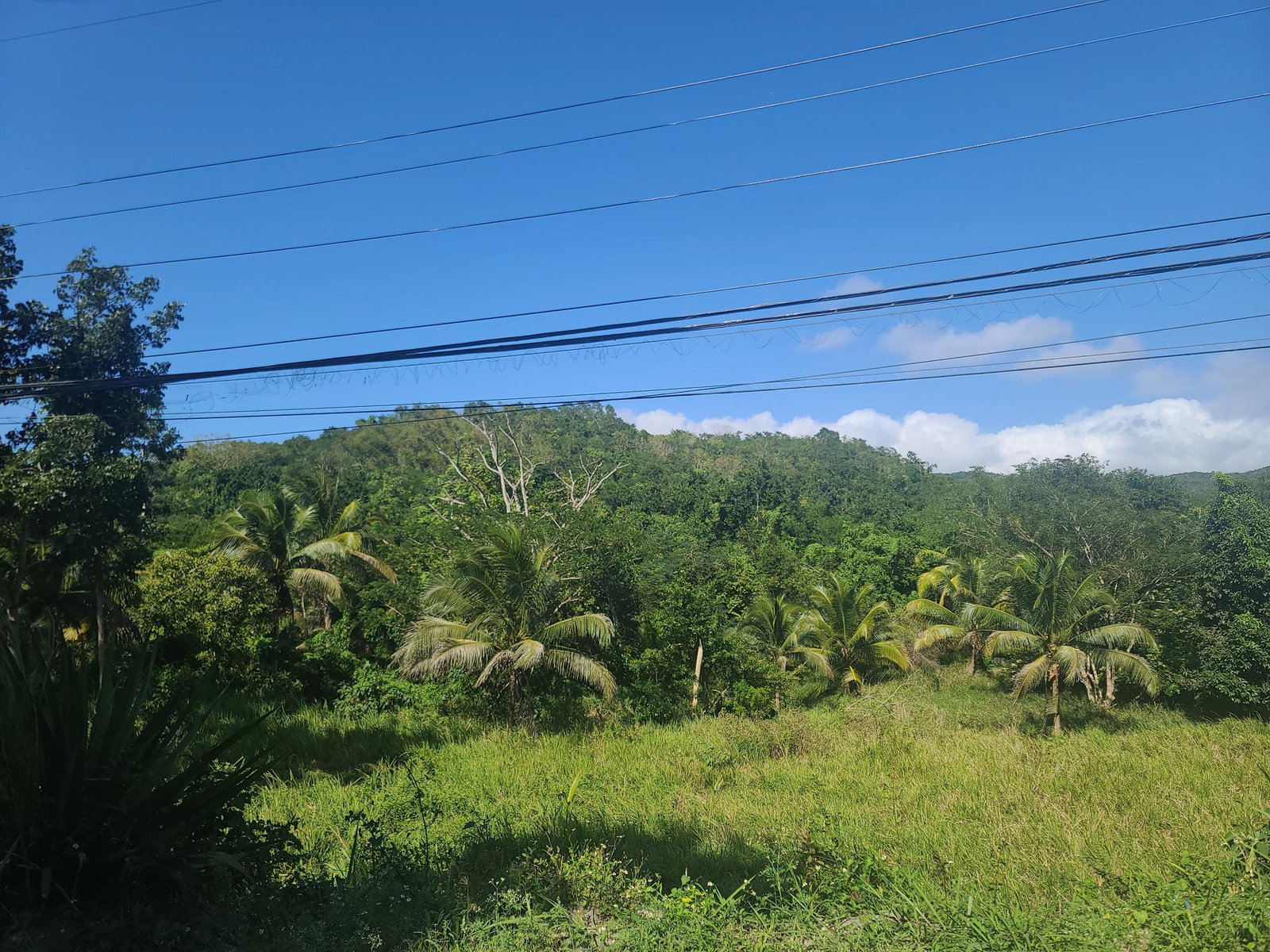 Eleventh image of Glendale Heights, Sign in Montego Bay, St. James, Jamaica - property is For Sale