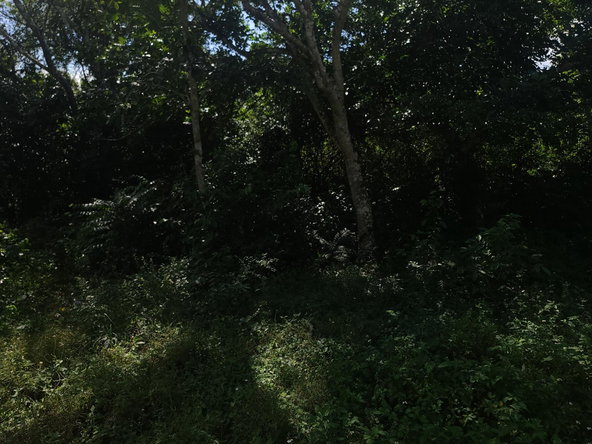 Twelfth image of Glendale Heights, Sign in Montego Bay, St. James, Jamaica - property is For Sale