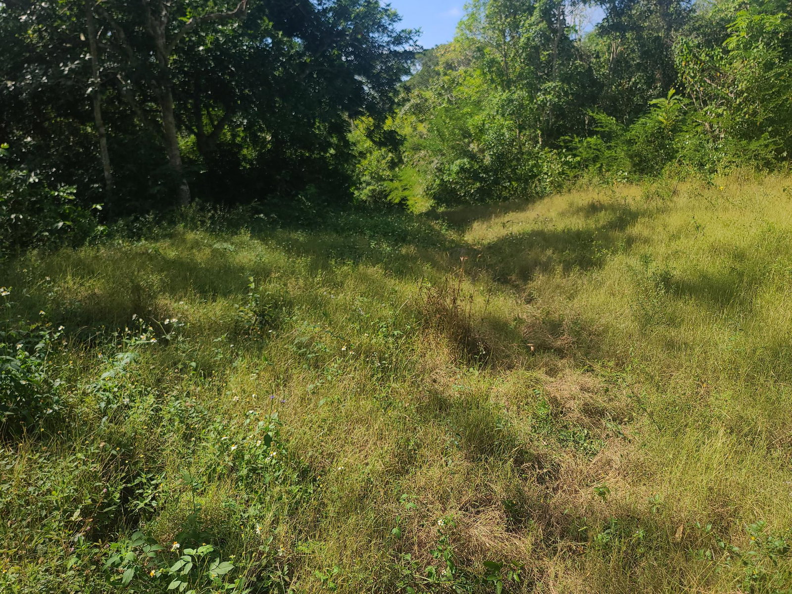 Thirteenth image of Glendale Heights, Sign in Montego Bay, St. James, Jamaica - property is For Sale
