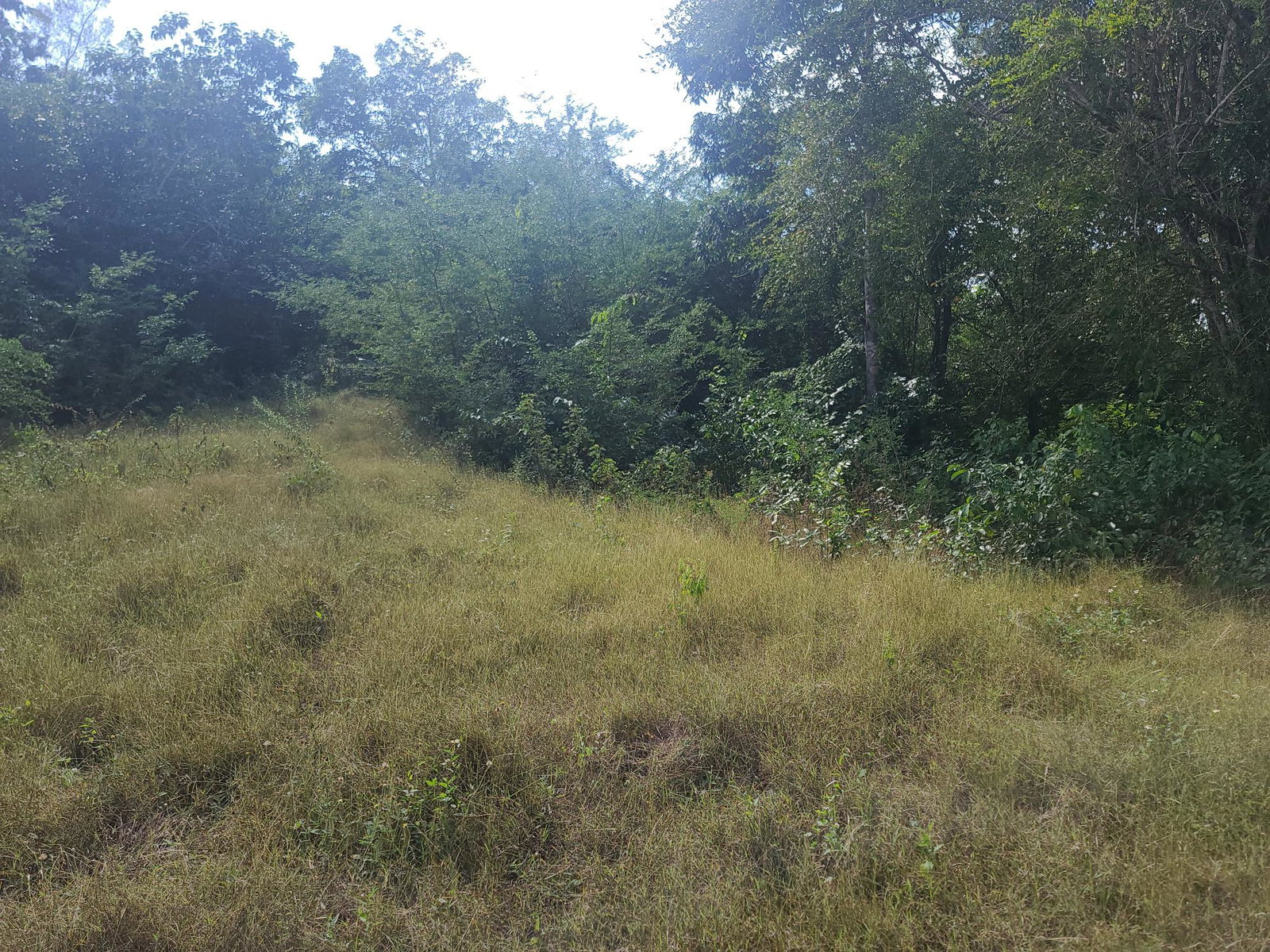 Fifteenth image of Glendale Heights, Sign in Montego Bay, St. James, Jamaica - property is For Sale