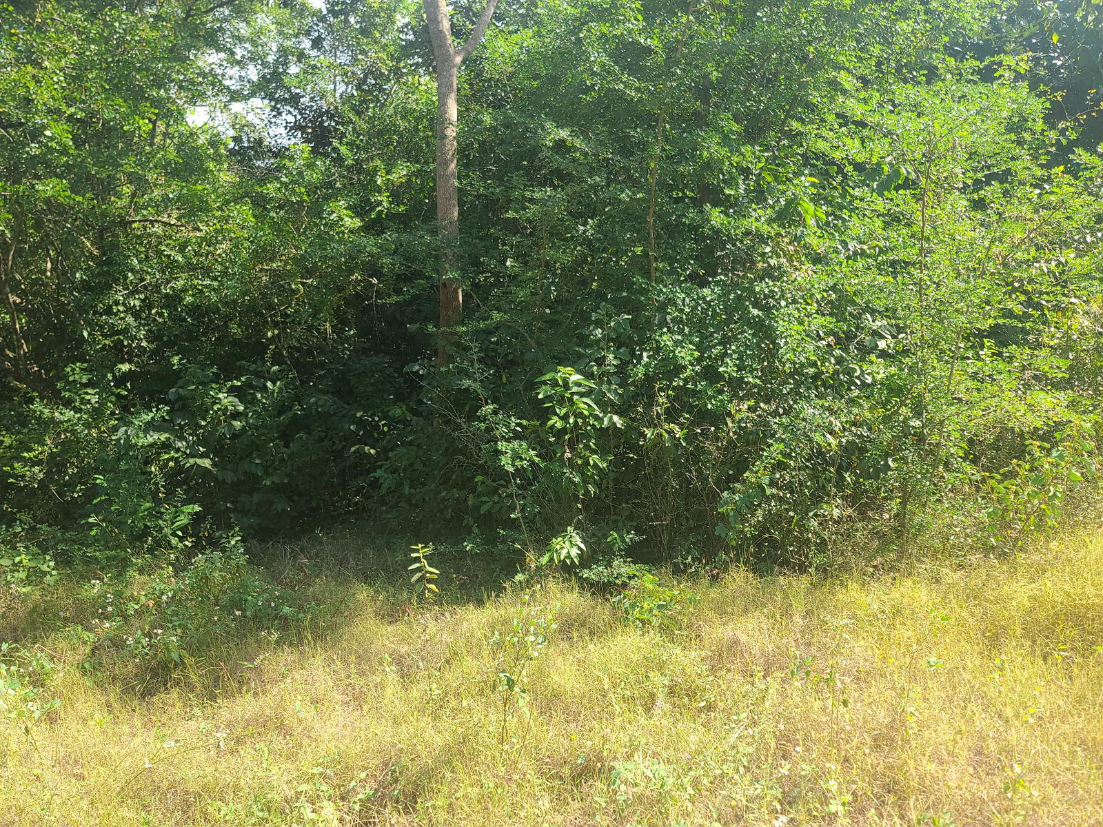 Sixteenth image of Glendale Heights, Sign in Montego Bay, St. James, Jamaica - property is For Sale