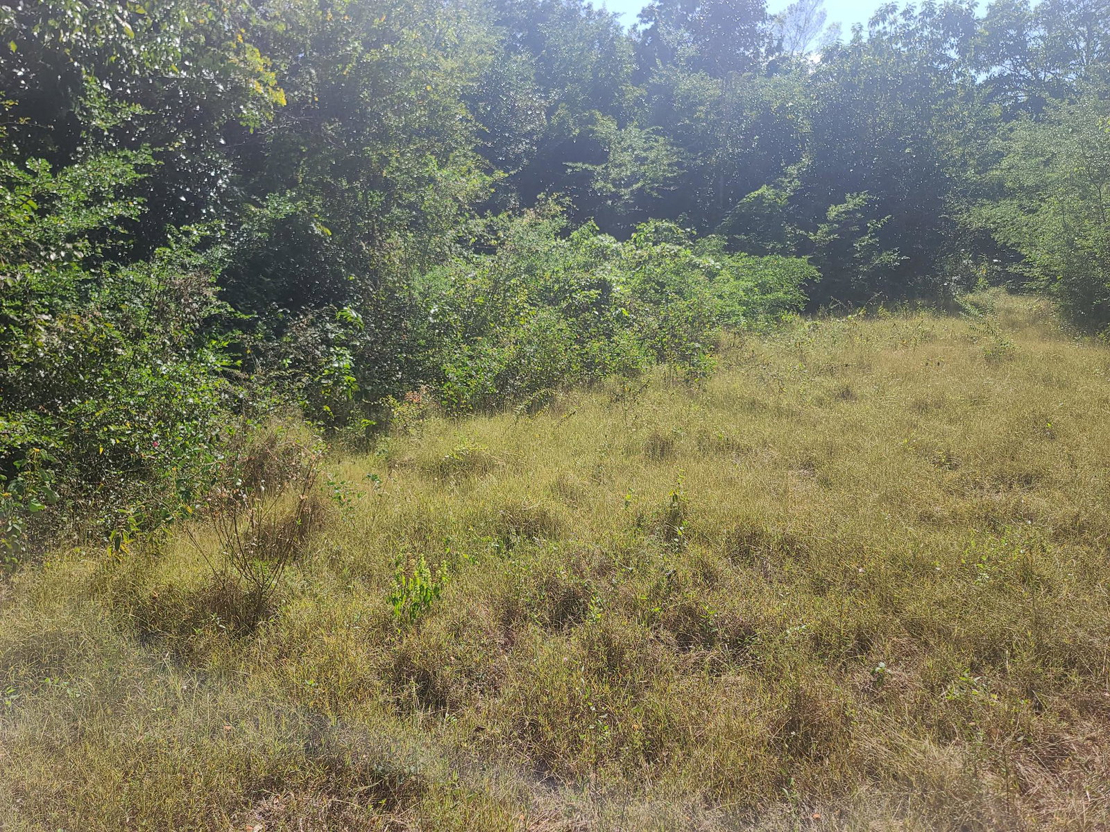 Seventeenth image of Glendale Heights, Sign in Montego Bay, St. James, Jamaica - property is For Sale