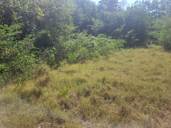 Seventeenth image of Glendale Heights, Sign in Montego Bay, St. James, Jamaica - property is For Sale