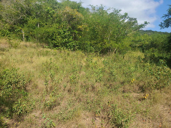 Eighteenth image of Glendale Heights, Sign in Montego Bay, St. James, Jamaica - property is For Sale