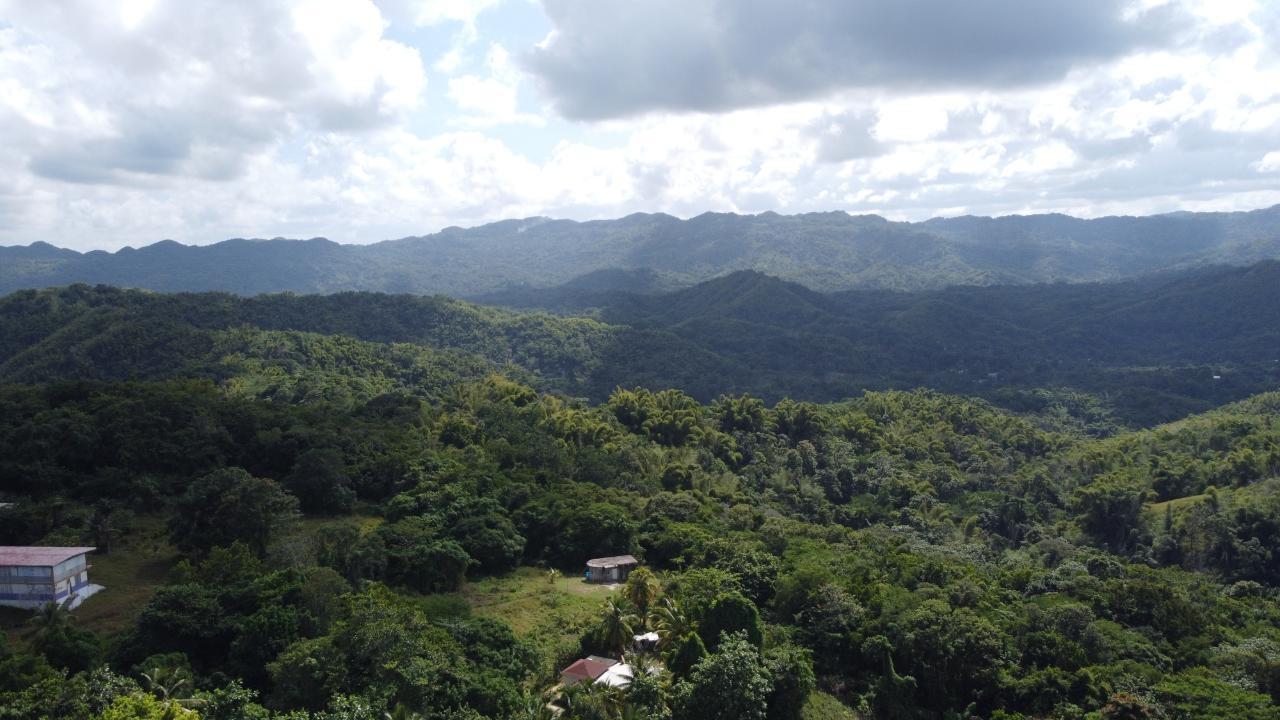 Second image of Glendale Heights, Sign in Montego Bay, St. James, Jamaica - property is For Sale