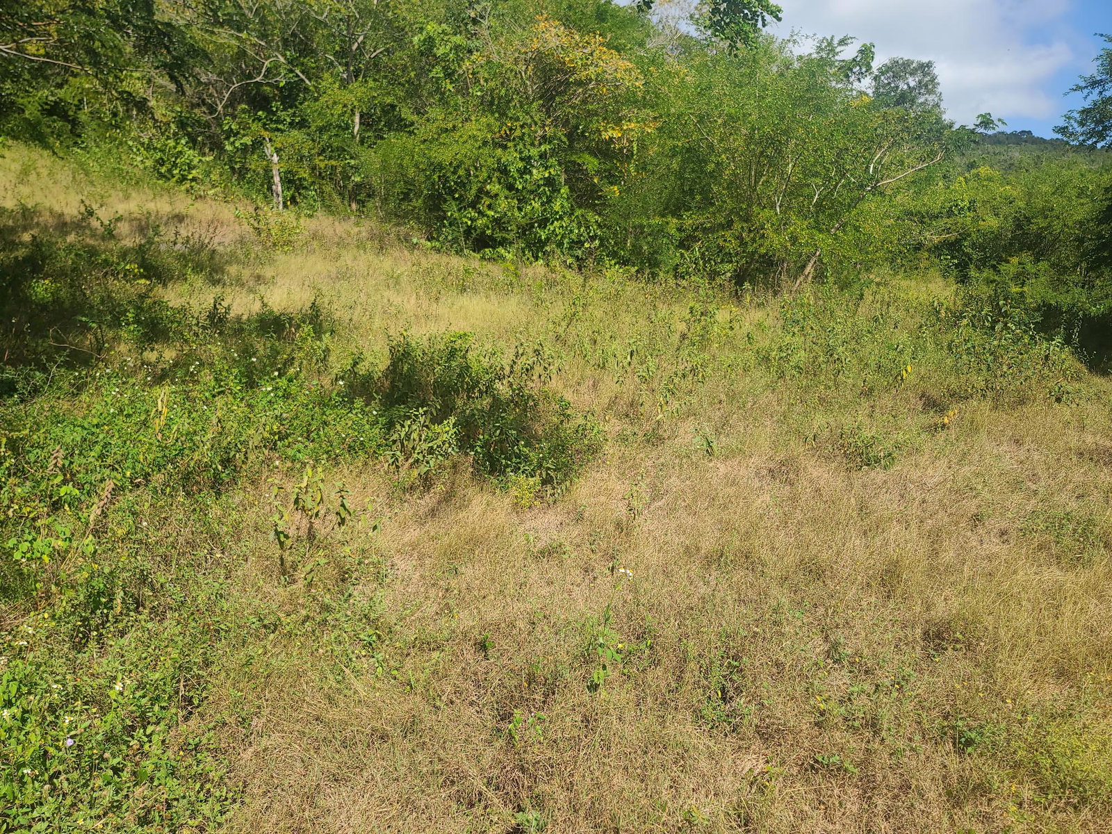Twentieth image of Glendale Heights, Sign in Montego Bay, St. James, Jamaica - property is For Sale