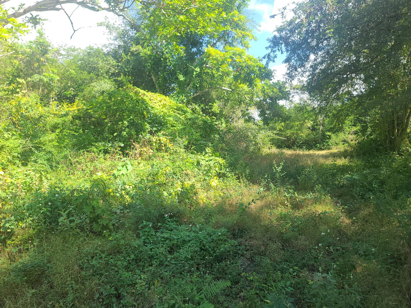 Twenty-Second image of Glendale Heights, Sign in Montego Bay, St. James, Jamaica - property is For Sale