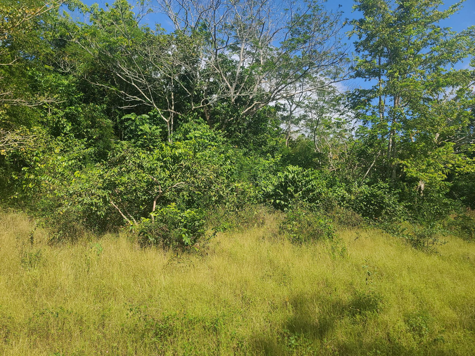 Twenty-Third image of Glendale Heights, Sign in Montego Bay, St. James, Jamaica - property is For Sale