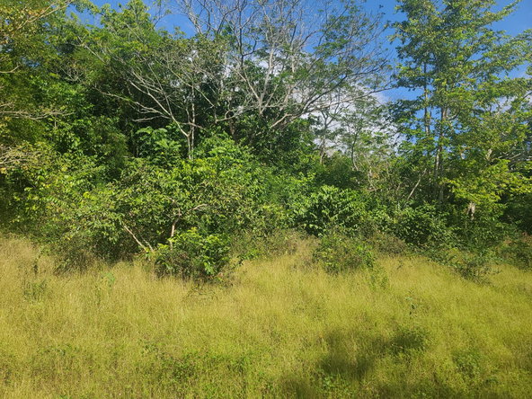 Twenty-Third image of Glendale Heights, Sign in Montego Bay, St. James, Jamaica - property is For Sale