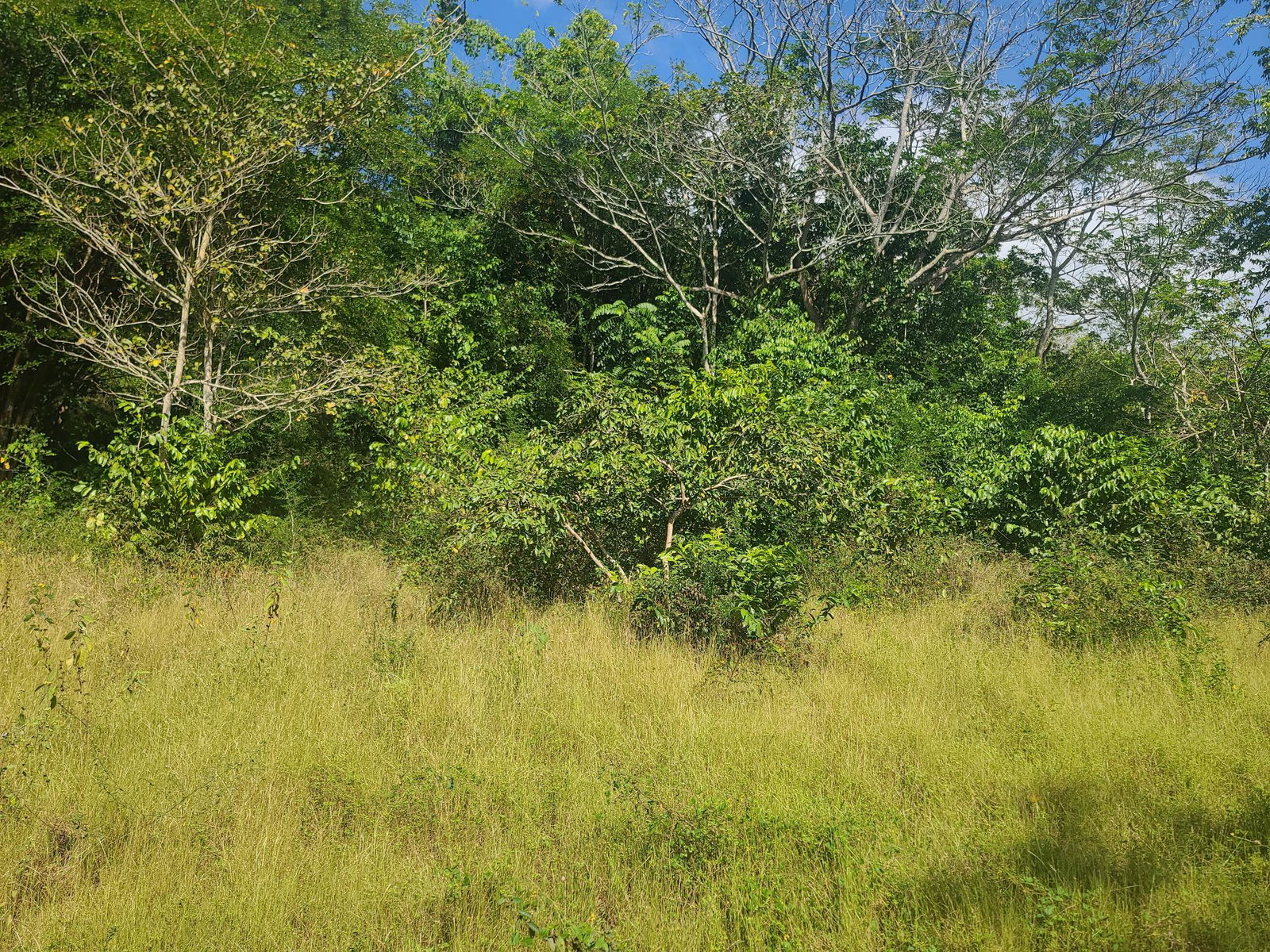 Twenty-Fourth image of Glendale Heights, Sign in Montego Bay, St. James, Jamaica - property is For Sale