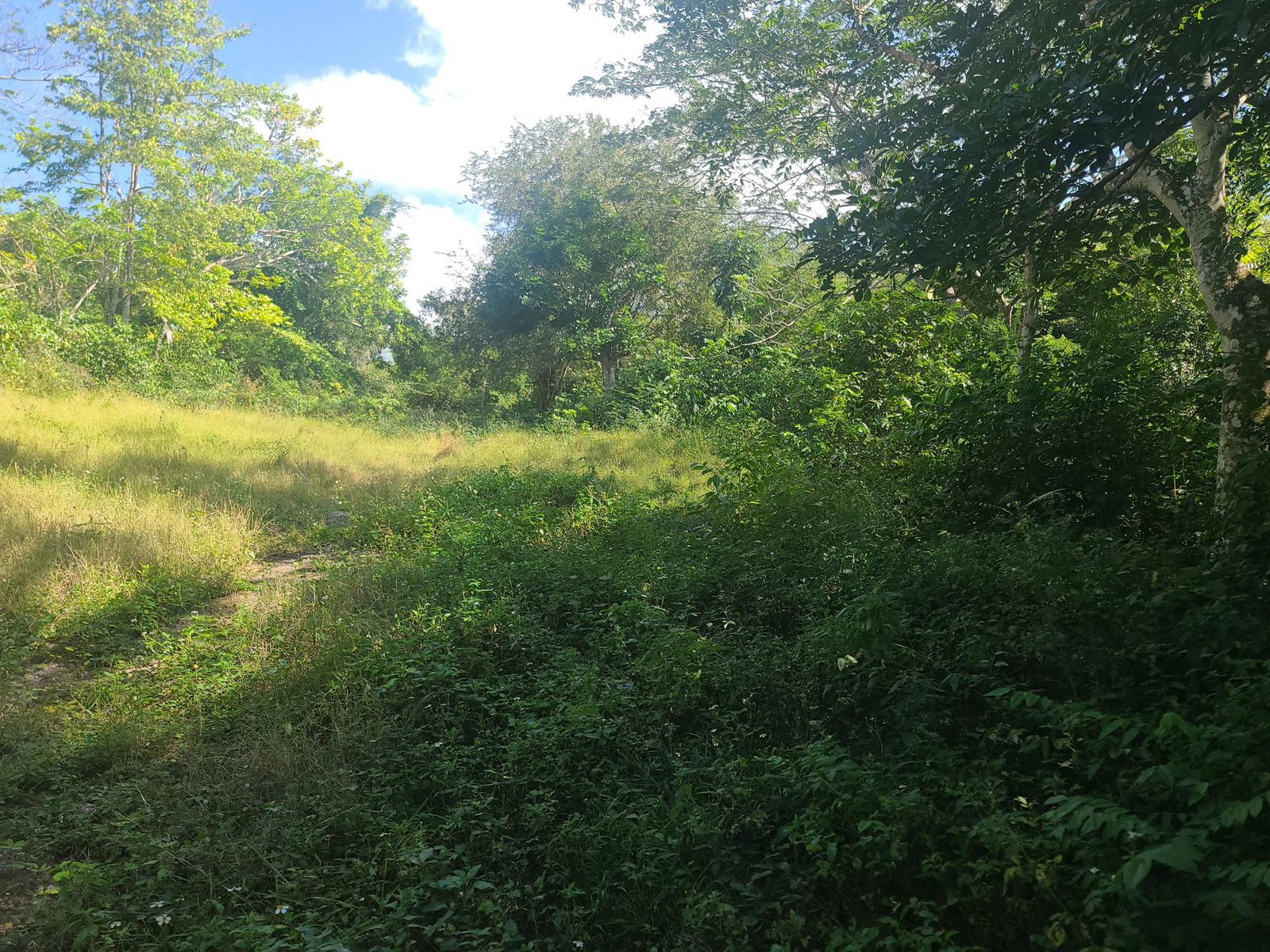 Twenty-Fifth image of Glendale Heights, Sign in Montego Bay, St. James, Jamaica - property is For Sale
