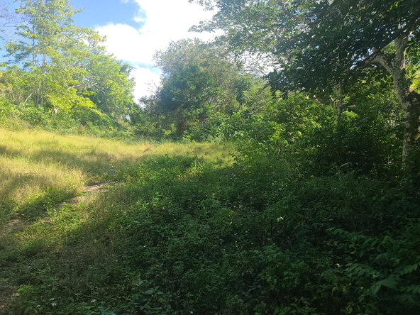Twenty-Fifth image of Glendale Heights, Sign in Montego Bay, St. James, Jamaica - property is For Sale