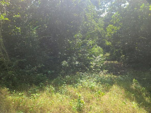 Twenty-Seventh image of Glendale Heights, Sign in Montego Bay, St. James, Jamaica - property is For Sale