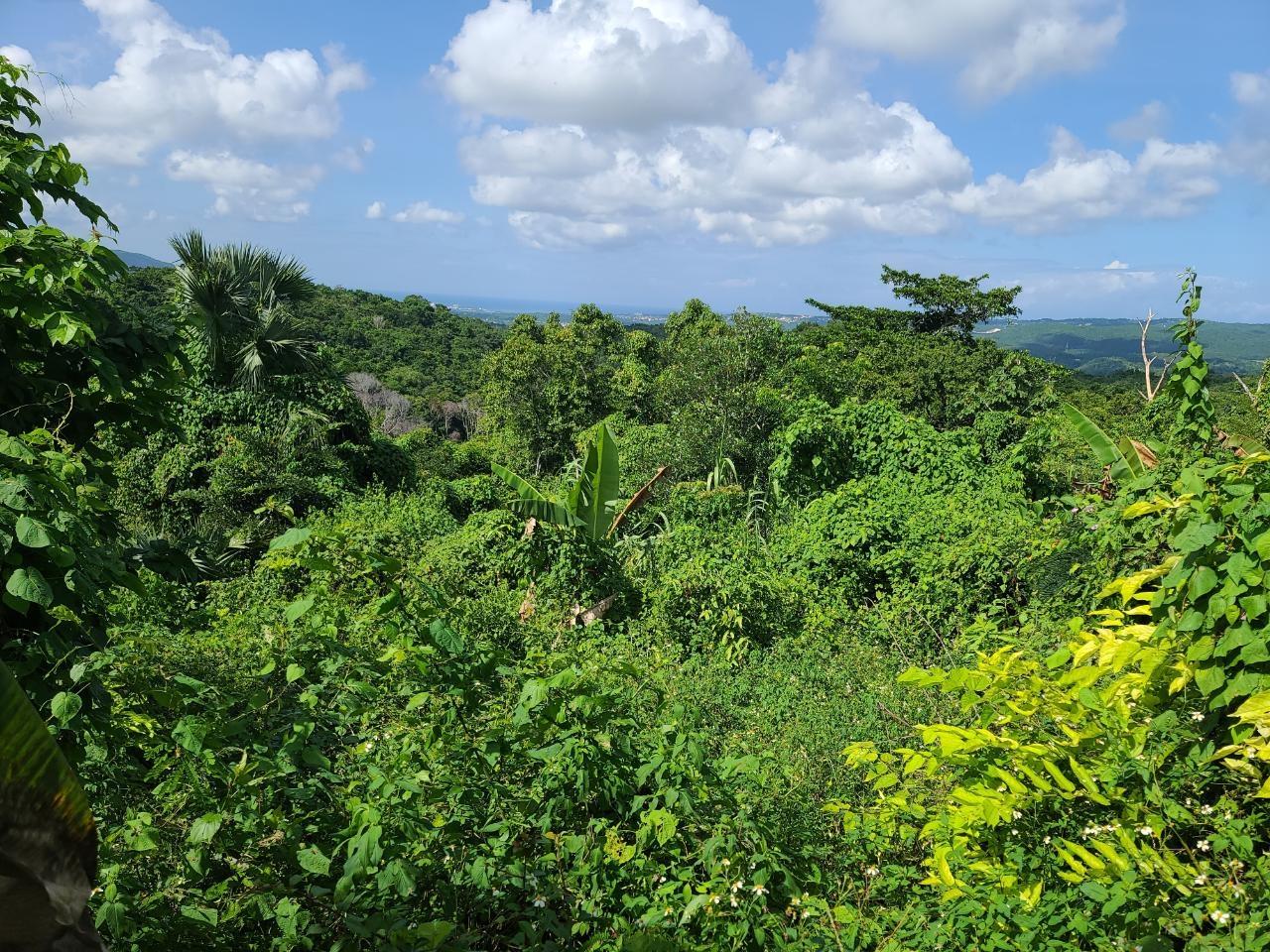Third image of Glendale Heights, Sign in Montego Bay, St. James, Jamaica - property is For Sale
