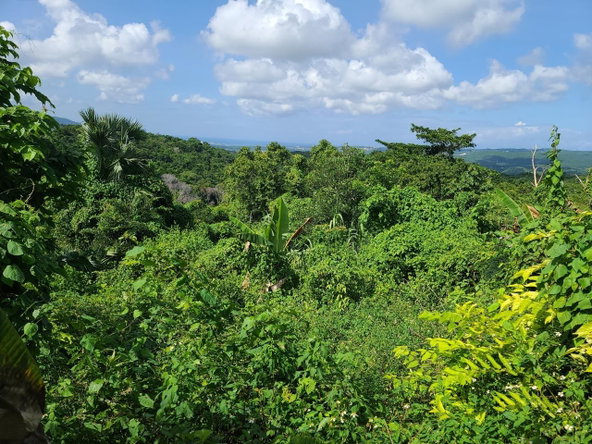 Third image of Glendale Heights, Sign in Montego Bay, St. James, Jamaica - property is For Sale
