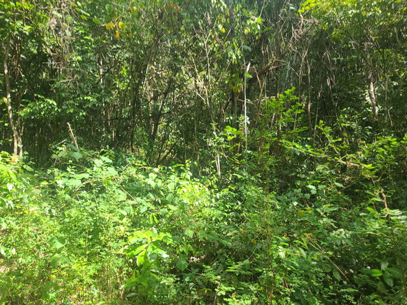 Thirtieth image of Glendale Heights, Sign in Montego Bay, St. James, Jamaica - property is For Sale