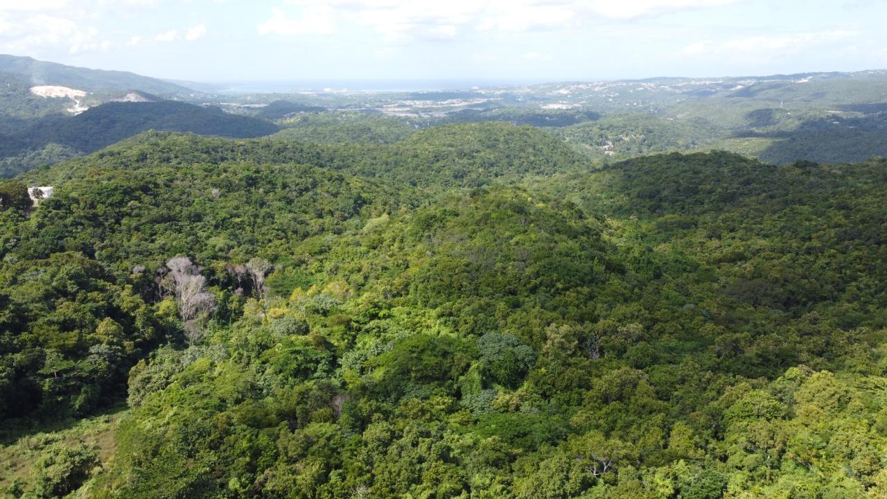 Fourth image of Glendale Heights, Sign in Montego Bay, St. James, Jamaica - property is For Sale