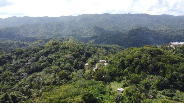 Sixth image of Glendale Heights, Sign in Montego Bay, St. James, Jamaica - property is For Sale