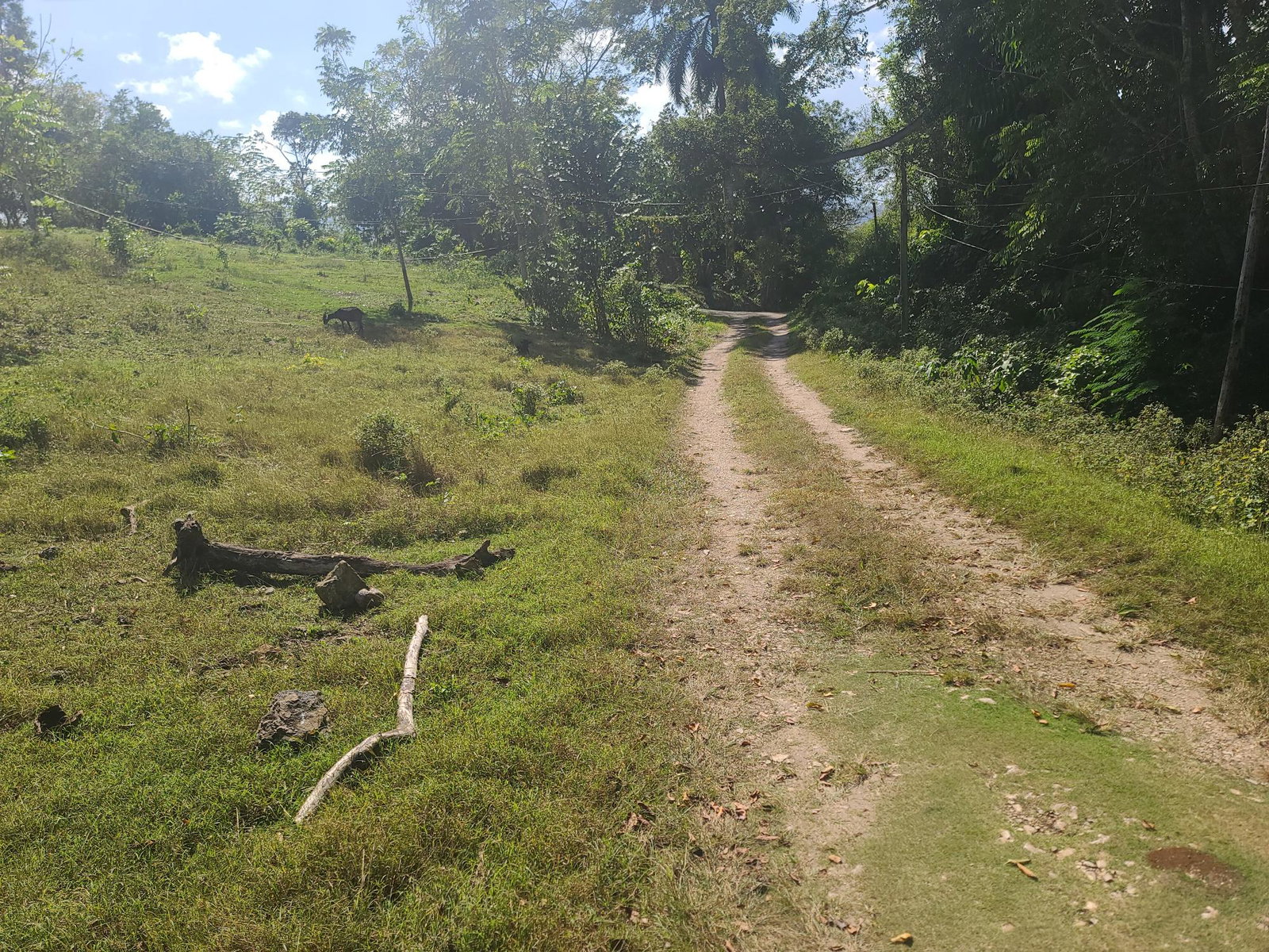 Seventh image of Glendale Heights, Sign in Montego Bay, St. James, Jamaica - property is For Sale