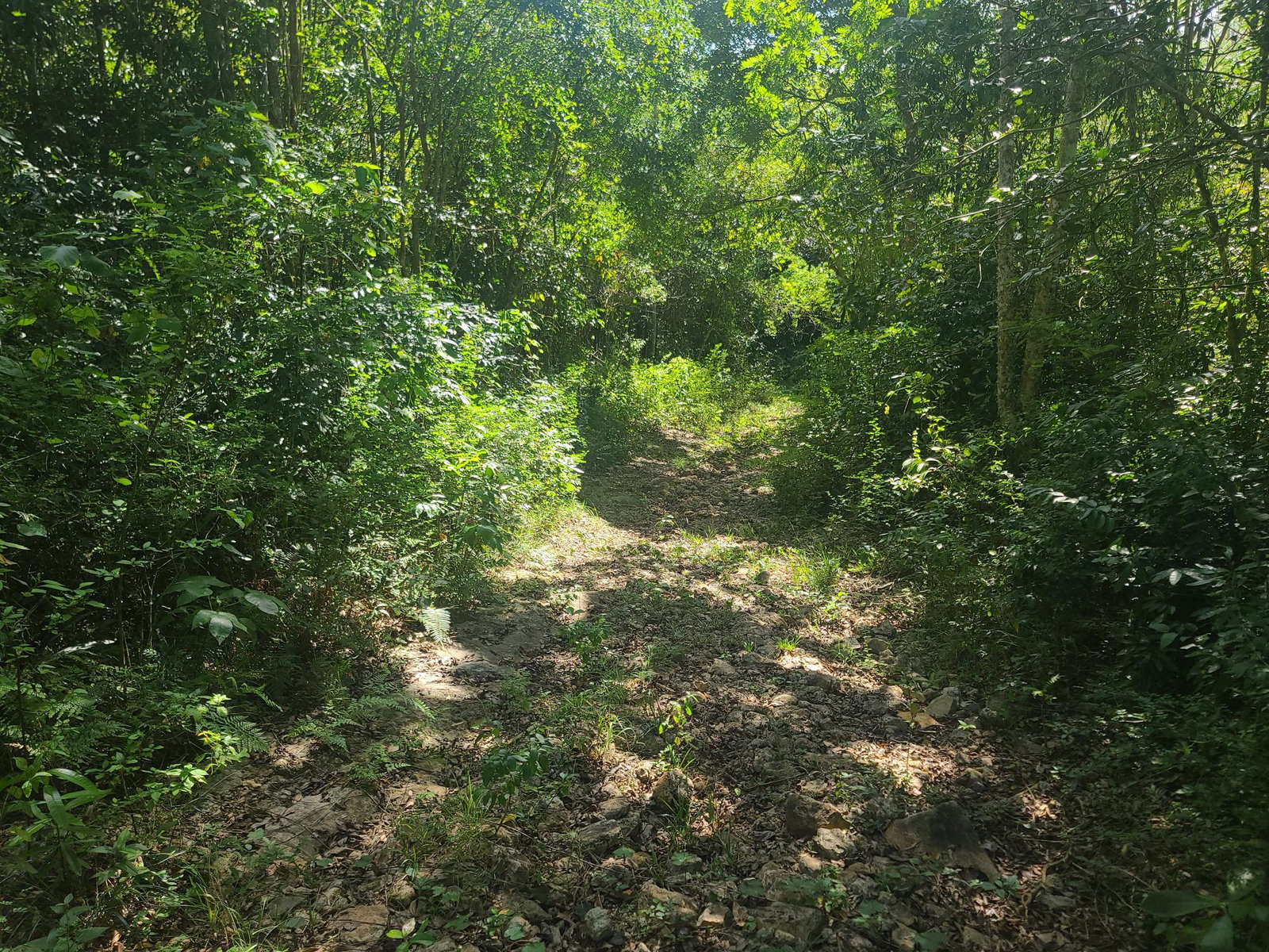 Ninth image of Glendale Heights, Sign in Montego Bay, St. James, Jamaica - property is For Sale