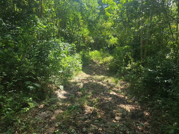 Ninth image of Glendale Heights, Sign in Montego Bay, St. James, Jamaica - property is For Sale