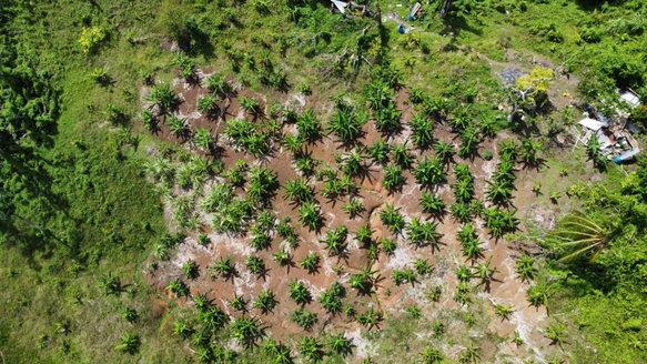 First image of 56 Ducketts in Cambridge, St. James, Jamaica - property is For Sale